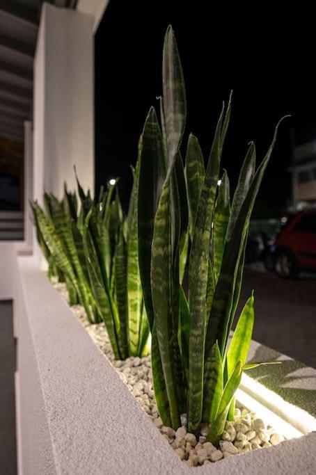 Apartmán Poem Kos Exteriér fotografie